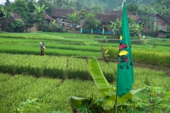 13 june - fieldvisit to Sukabumi, West Java.