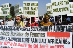 Sénégal 2011