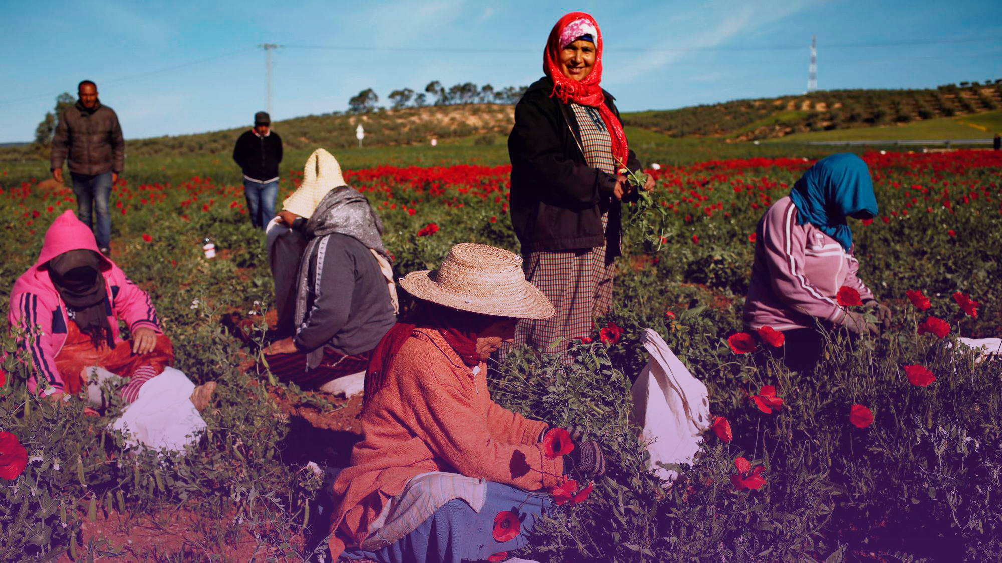 المرأة من أجل الحق في الأرض و الميراث المساواة في تونس