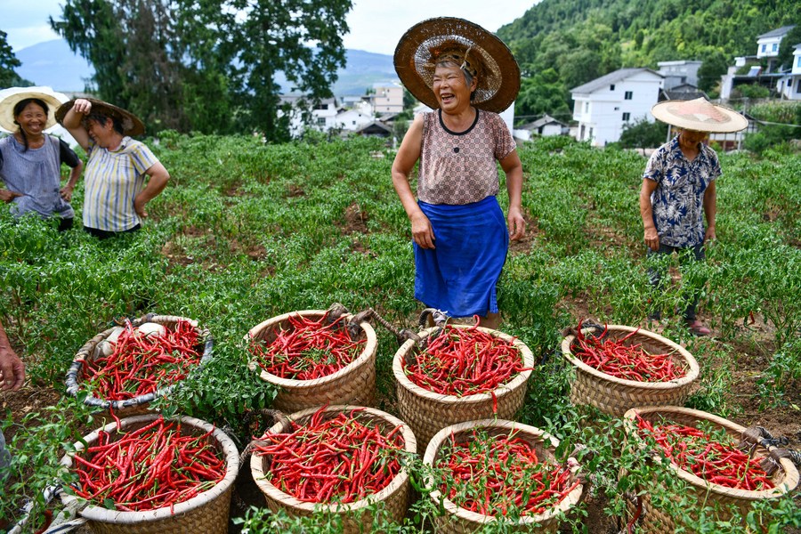 Las mujeres sostienen la mitad del cielo cómo China erradicó la