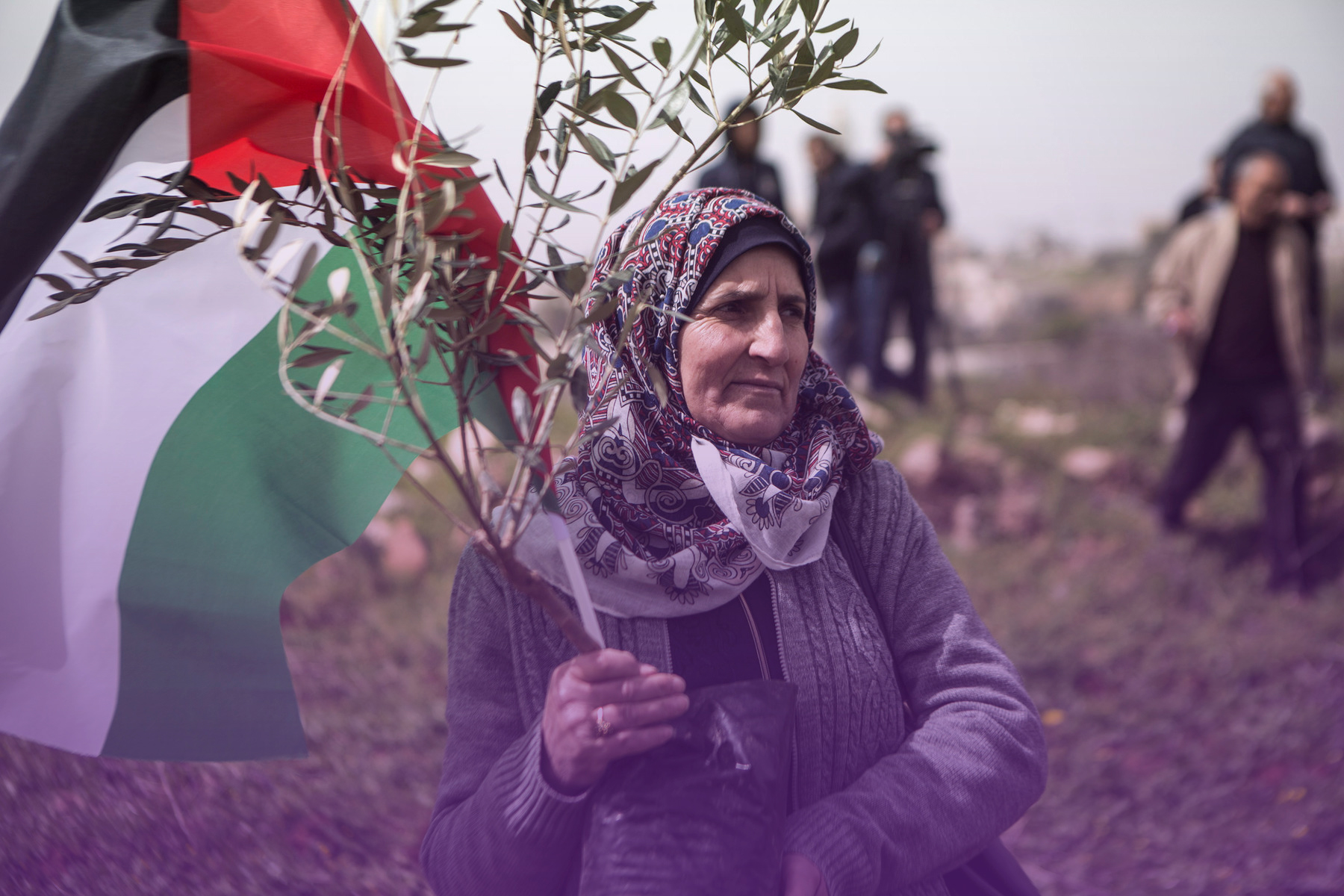 النساء الفلسطينيات والسيادة على الأرض