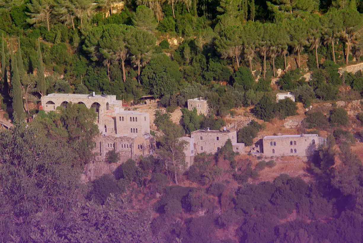 In Palestine, Protecting One of the World's Oldest Olive Trees Is