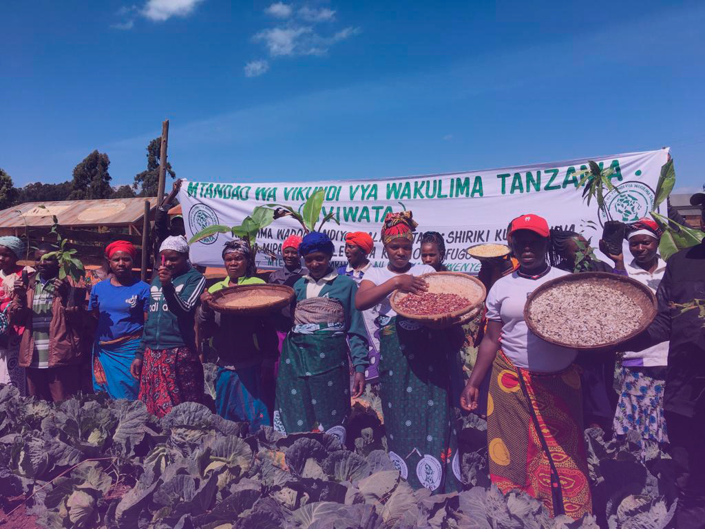 Educación popular en agroecología: transformaciones en la práctica