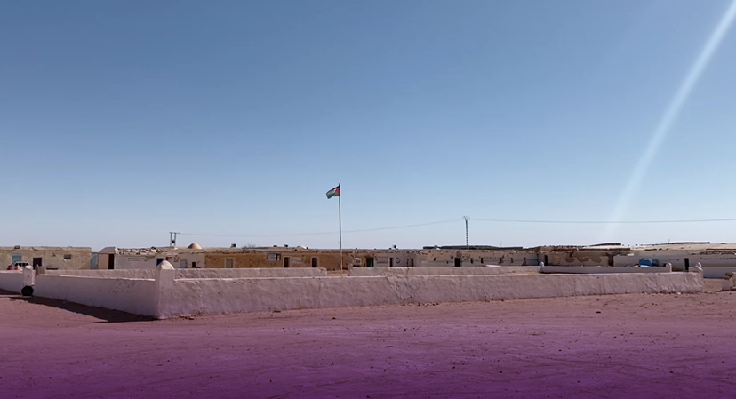 Una bandera hincada en la arena: mujeres saharauis construyendo soberanía