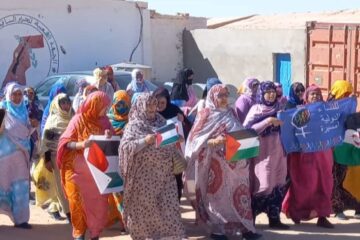 Women From All Over the World in the Struggle for Free Palestine