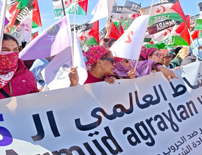 Yildiz Temürtürkan: “Sahrawi Women Are Leading International Grassroots Feminism”