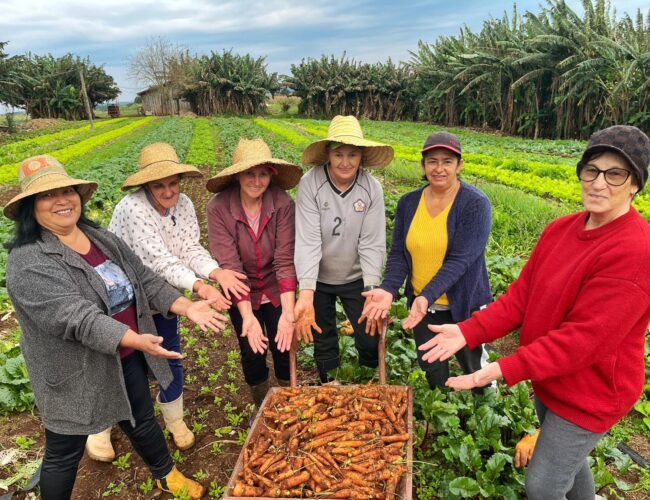 Femmes de la campagne, des forêts et des eaux en lutte pour une réforme agraire intégrale et populaire