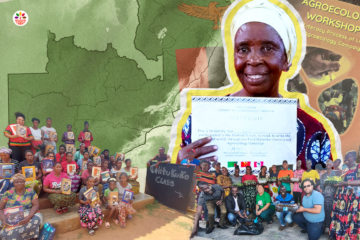 To Talk, To Read, To Write the Words and the World