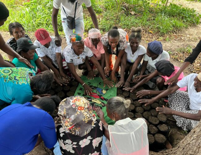 Les femmes paysannes haïtiennes exigent réparation 